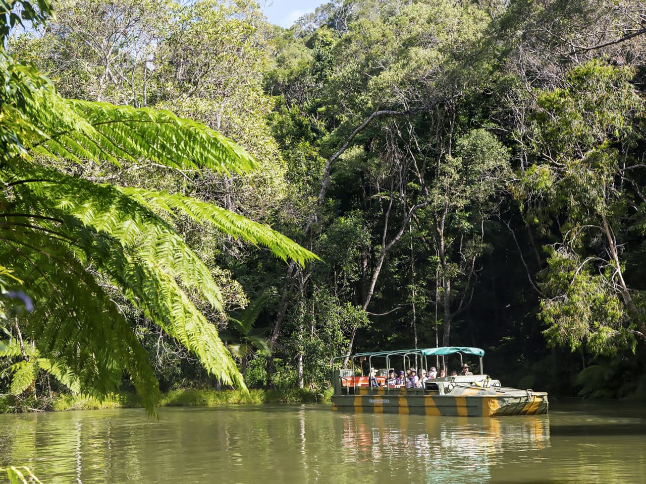 Full-Day Kuranda Tour with Skyrail Cableway, Scenic Railway, Rainforestation and Butterfly Sanctuary