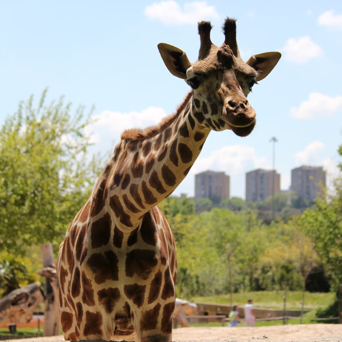 Zoo Aquarium Madrid