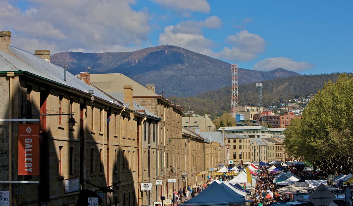 Mount Wellington and Hobart City Tour