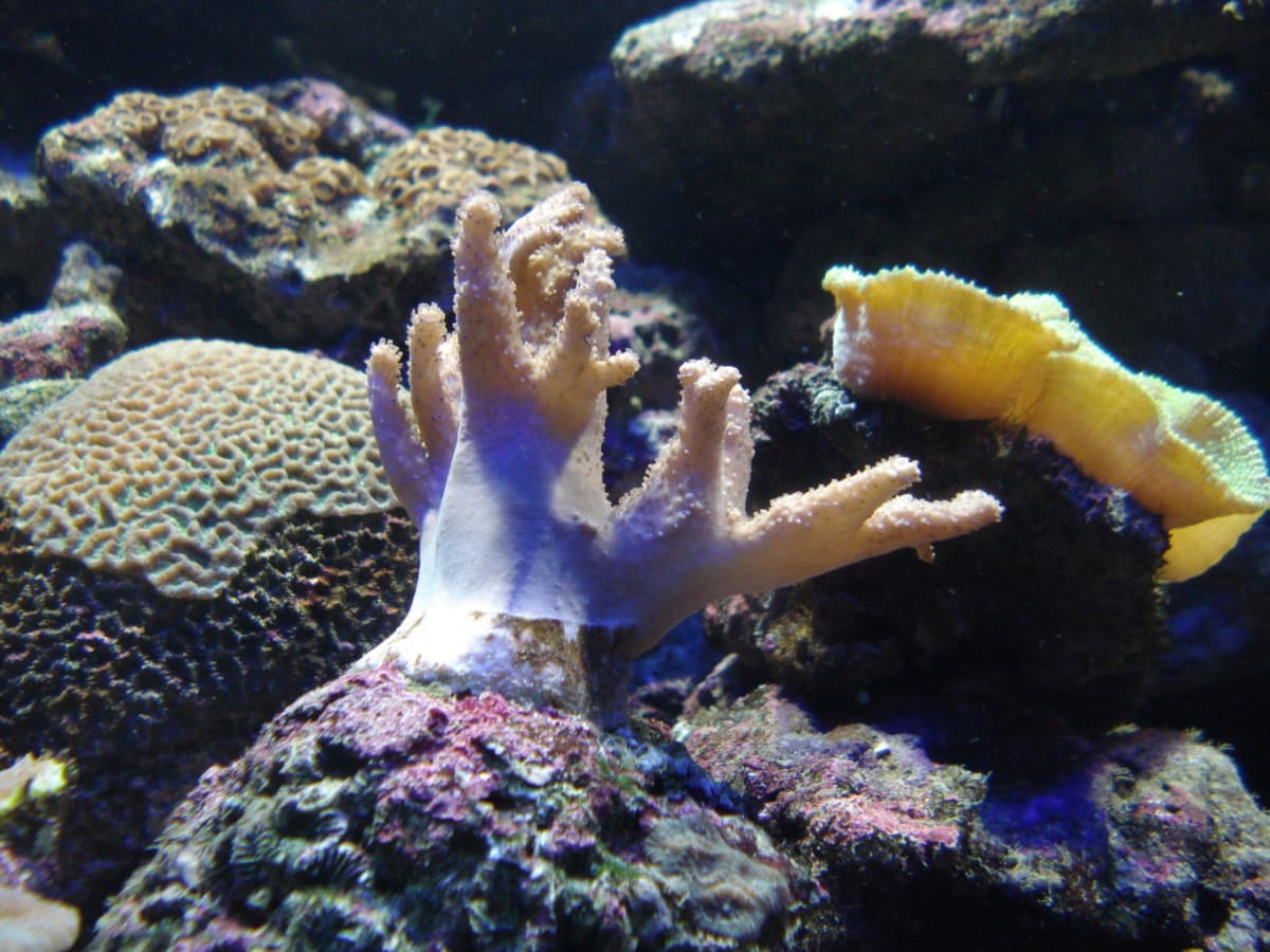 Underwater World Langkawi Ticket
