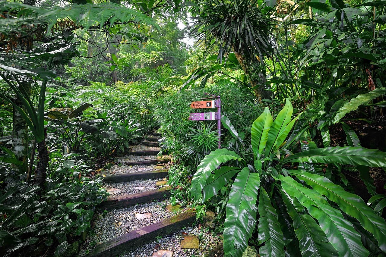 Tropical Spice Garden Penang