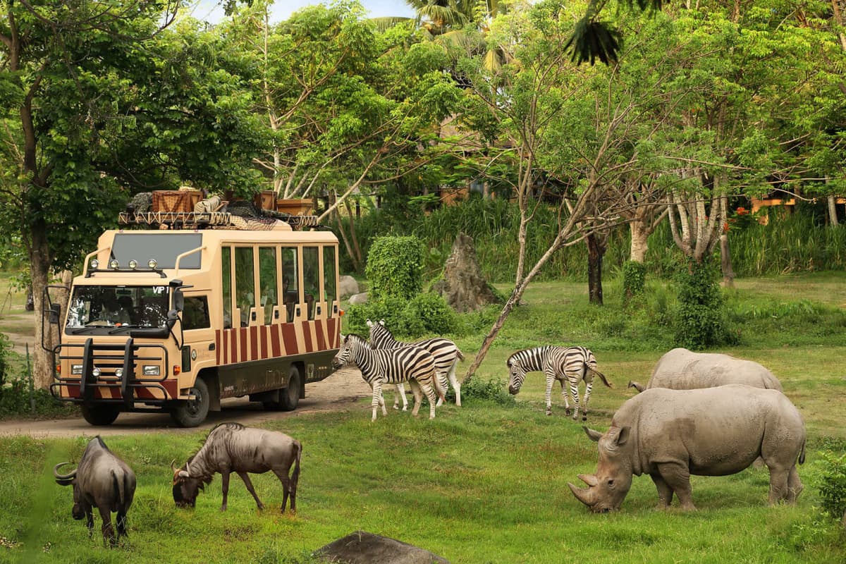 Bali Safari Park Ticket