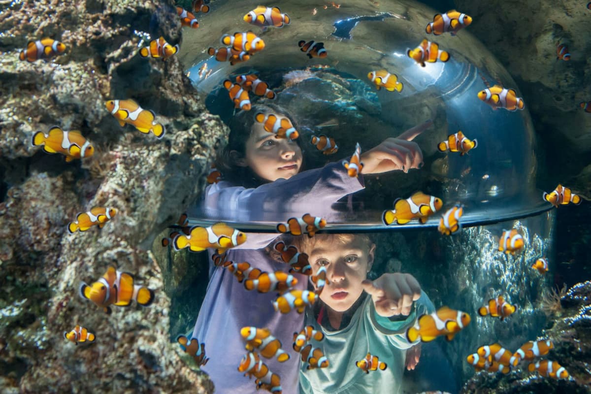 Gardaland SEA LIFE Aquarium Ticket