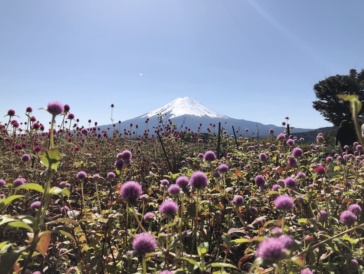 Mount Fuji Day Tour with Kawaguchiko Lake