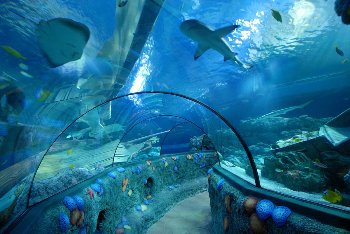 Gardaland SEA LIFE Aquarium Ticket