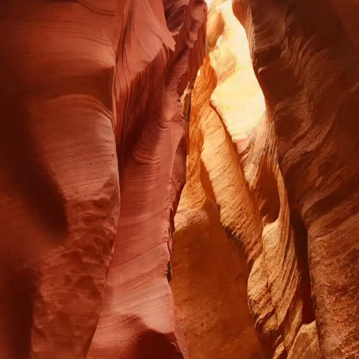 Antelope Canyon X and Horseshoe Bend Tour from Las Vegas