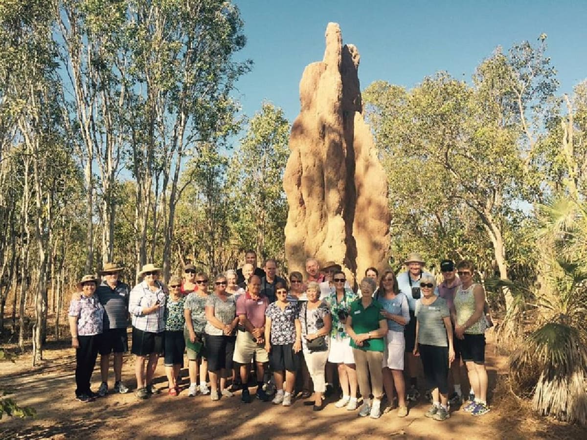 Litchfield National Park and Waterfalls Tour from Darwin