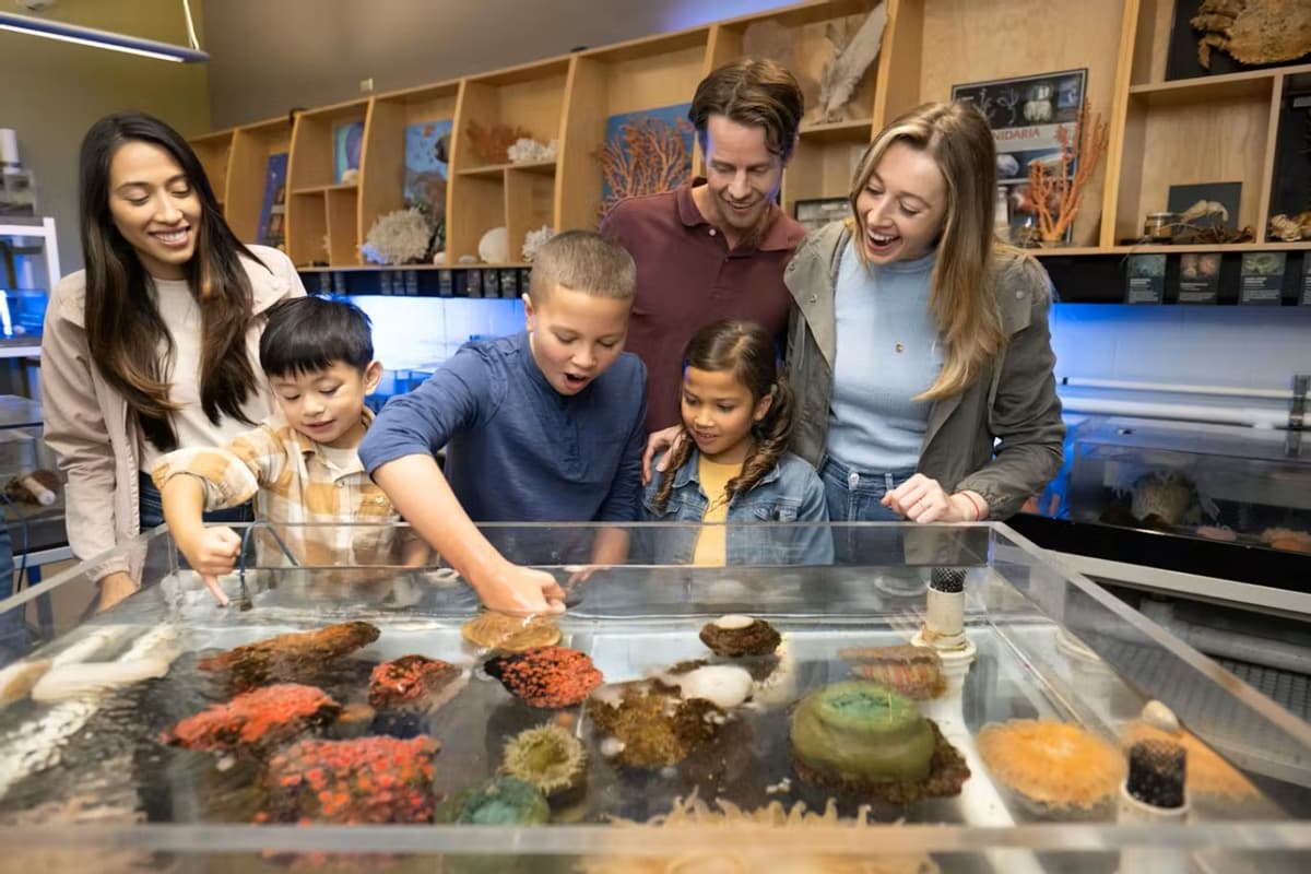 Vancouver Aquarium Ticket