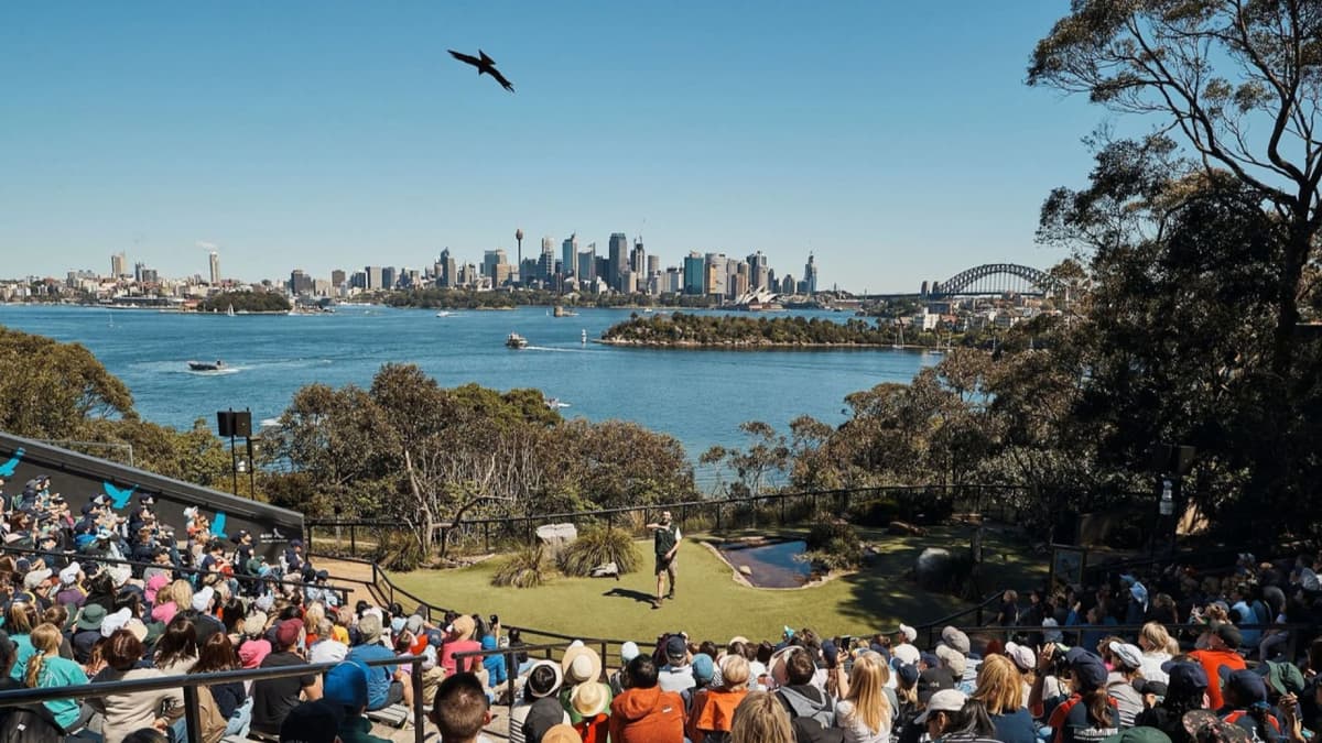 Taronga Zoo Ticket with Optional Round Trip Ferry
