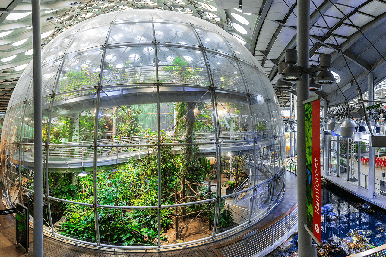 California Academy of Sciences Ticket