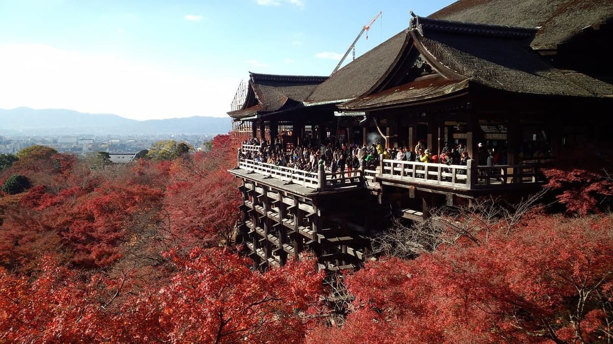 Kyoto Full-Day Tour: Nijo Castle, Kinkaku-ji, Fushimi Inari Taisha, Kiyomizu-dera Temple