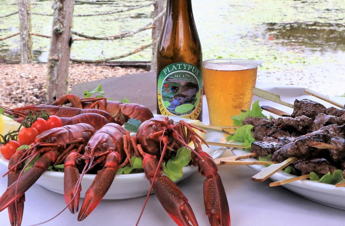 Australian Outback Food and Wine Tasting Tour from Port Douglas