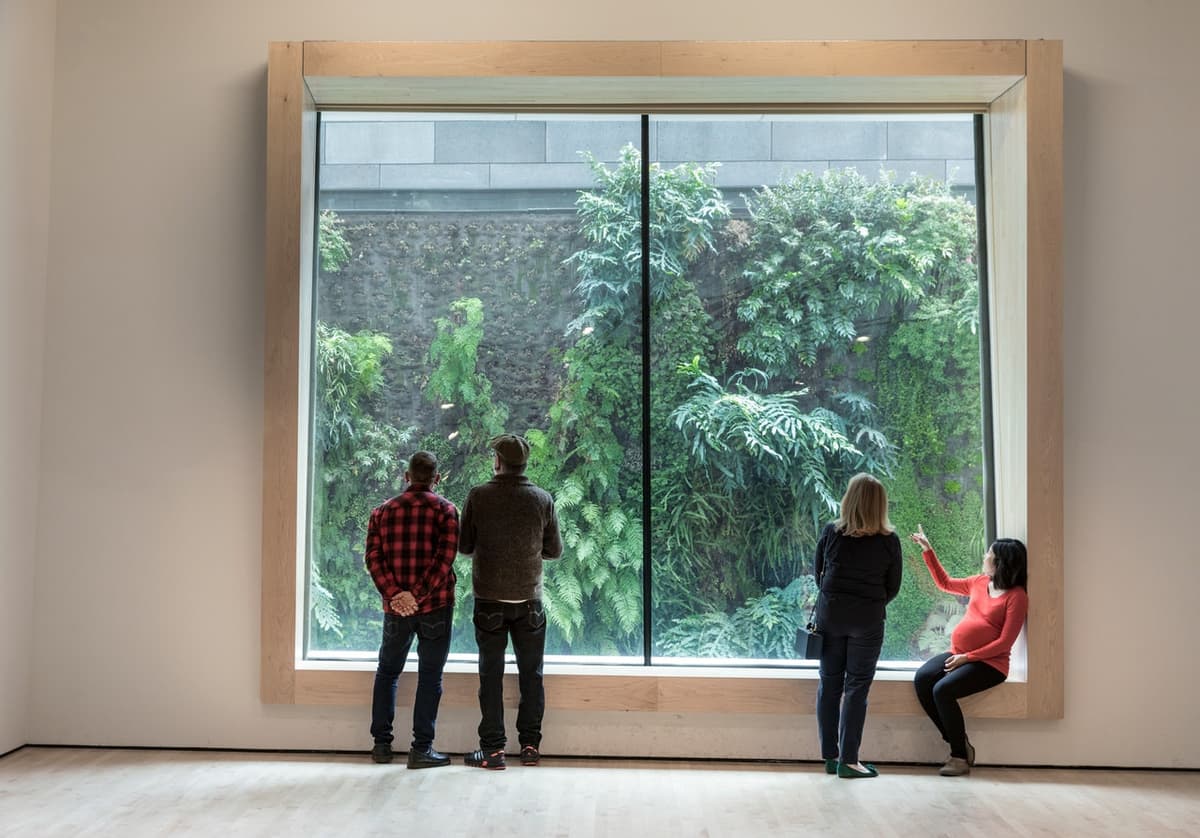 San Francisco Museum of Modern Art (SFMOMA)