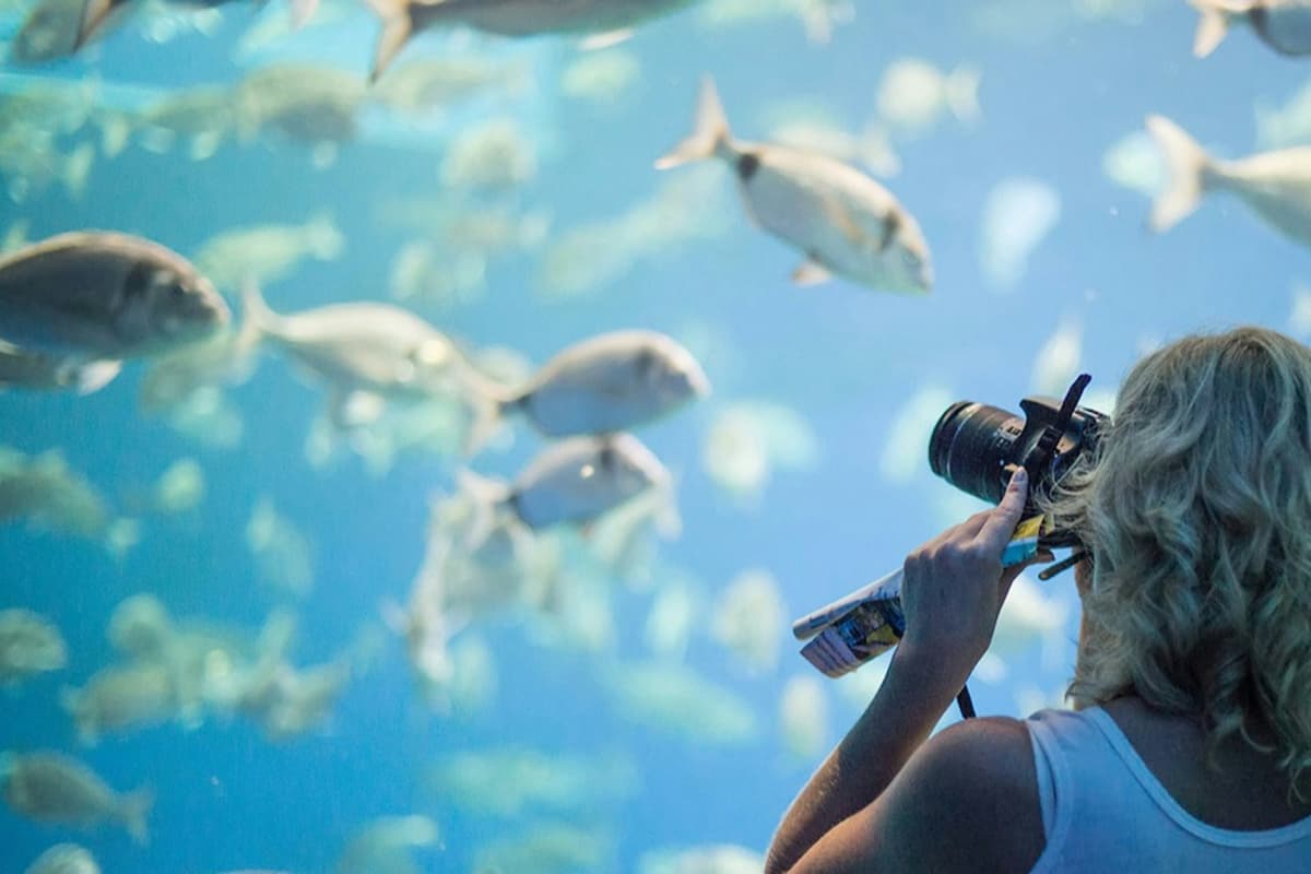 Palma Aquarium: Skip The Line Ticket + Optional 3D Cinema Aquadome