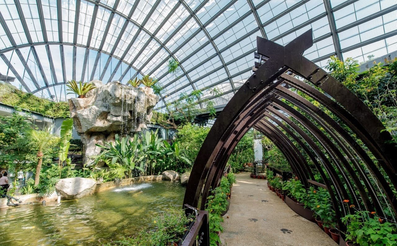 Entopia by Penang Butterfly Farm Ticket