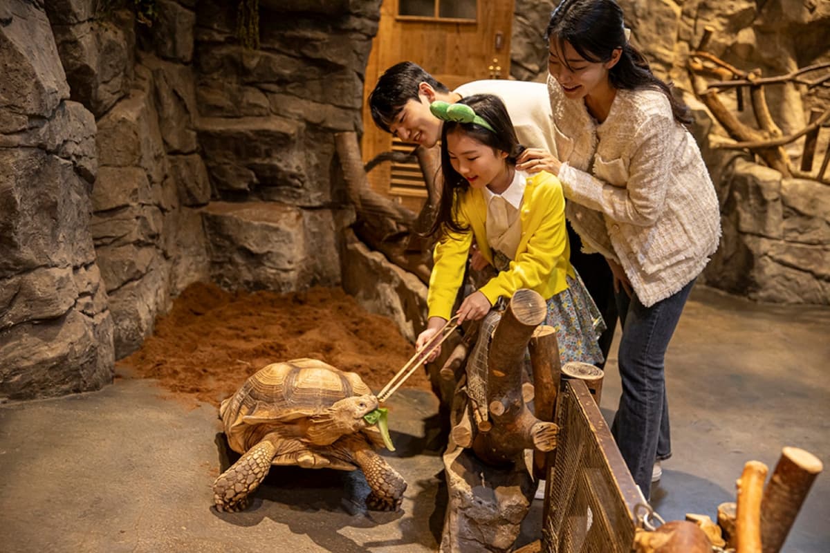 Zoolung Zoolung Indoor Animal Theme Park Ticket