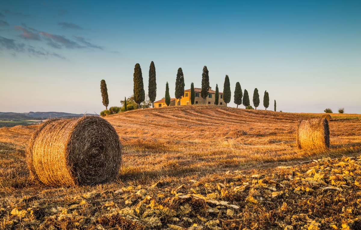 Medieval Tuscany Tour from Florence: Monteriggioni, Montalcino, Pienza