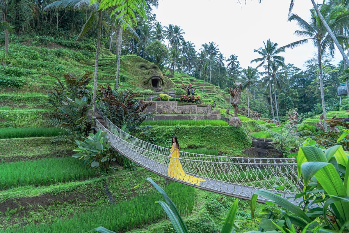 Alas Harum Bali: Swing, Skybike, and Zipline