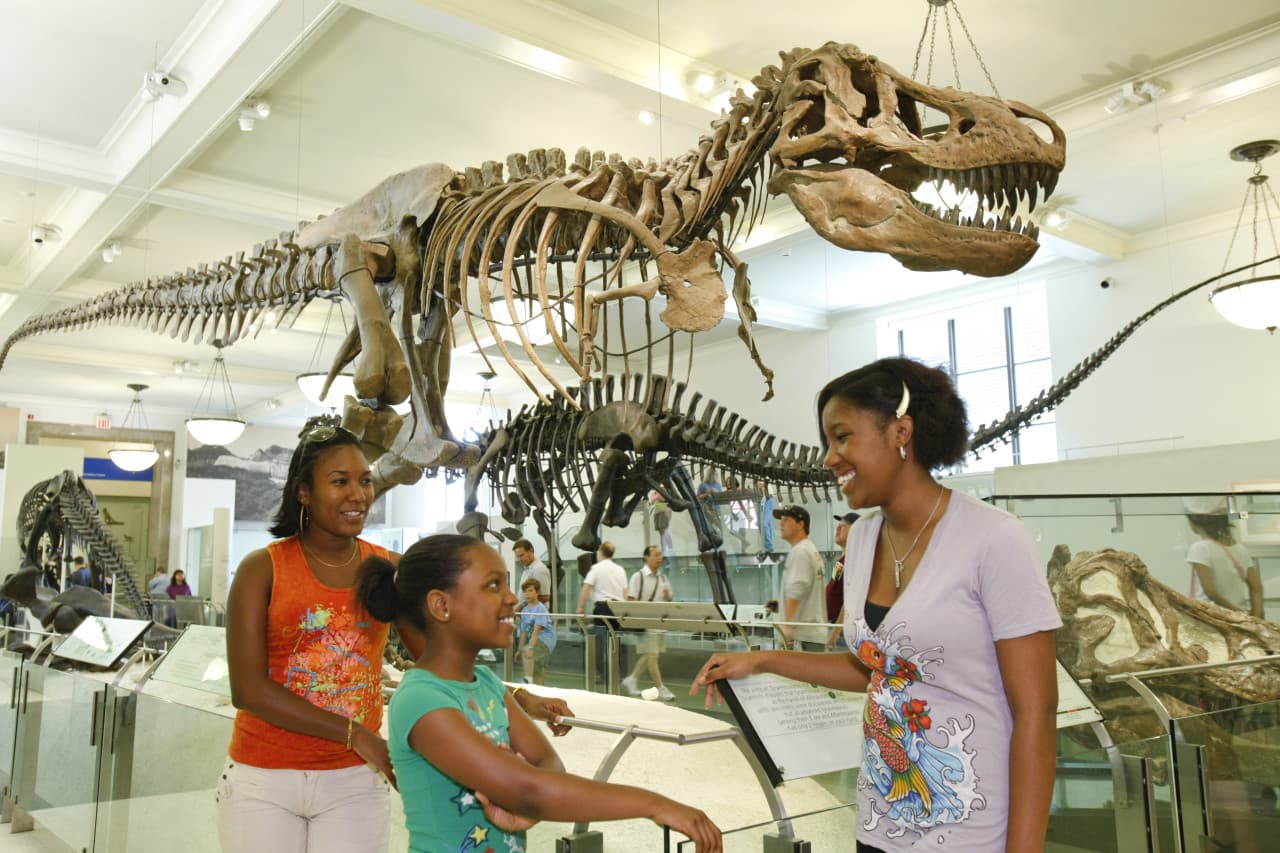 Go City New York Explorer Pass: Save up to 50% on Attractions