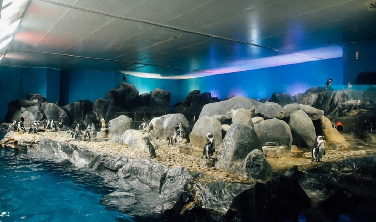 Underwater World Langkawi Ticket
