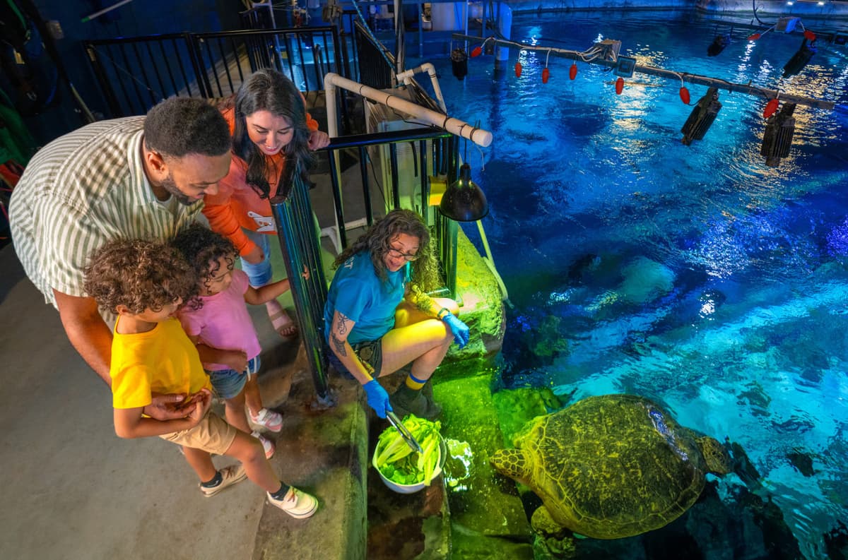 SEA LIFE Orlando Aquarium Ticket