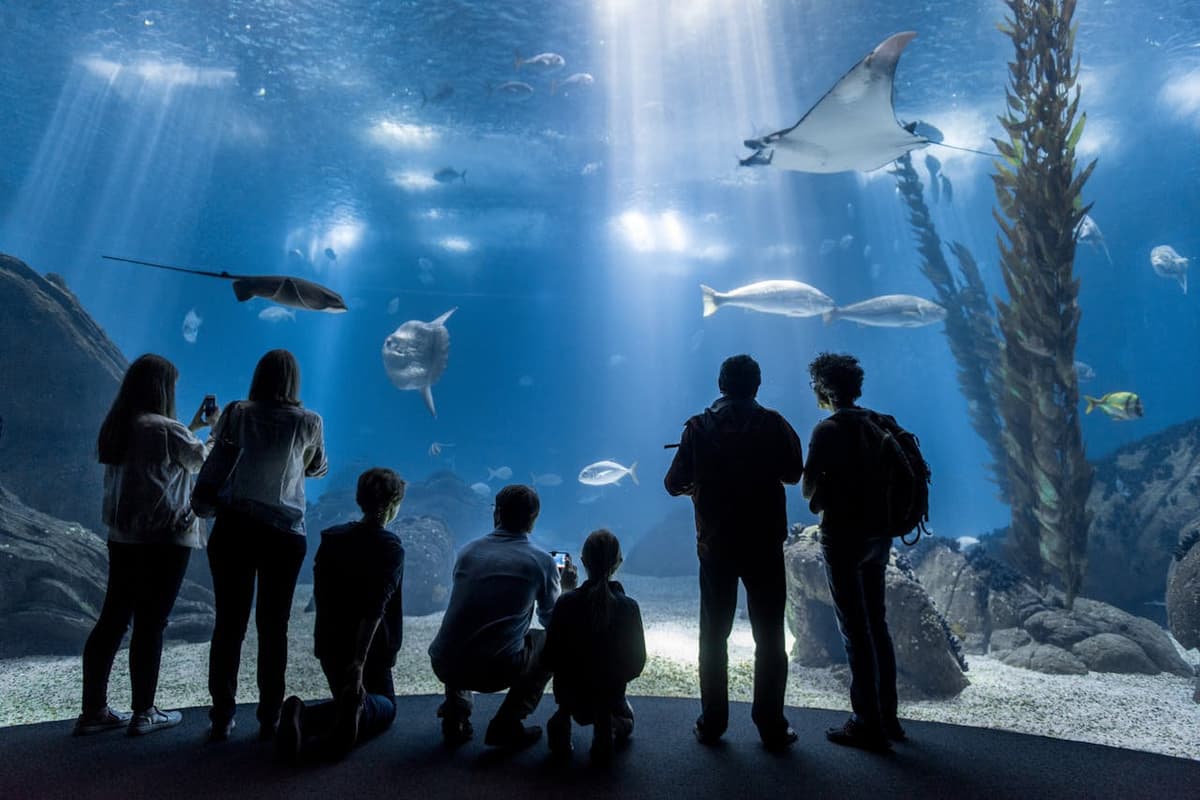 Oceanário de Lisboa Ticket