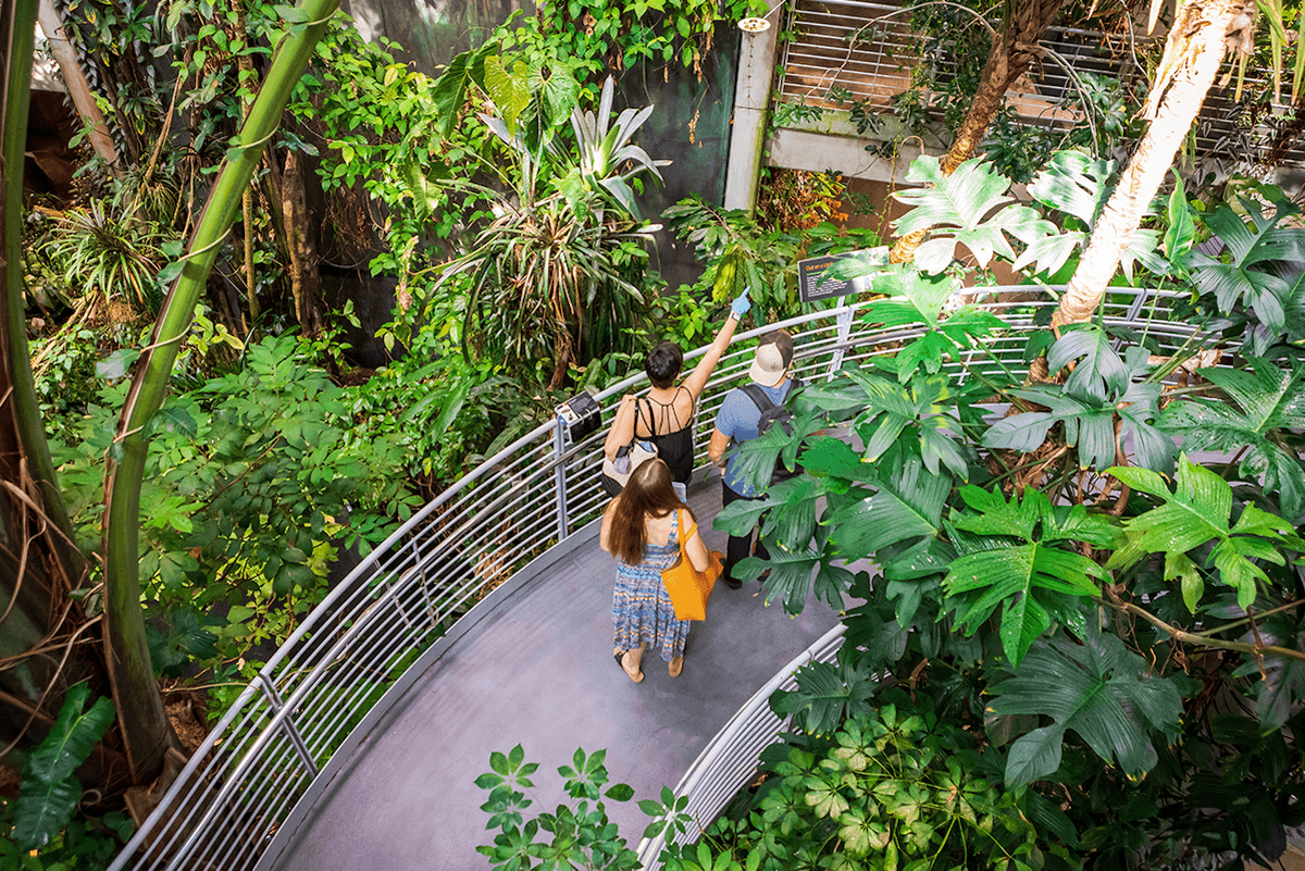 California Academy of Sciences Ticket