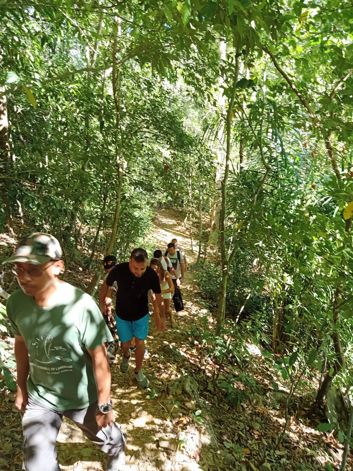 Langkawi Rainforest Trekking