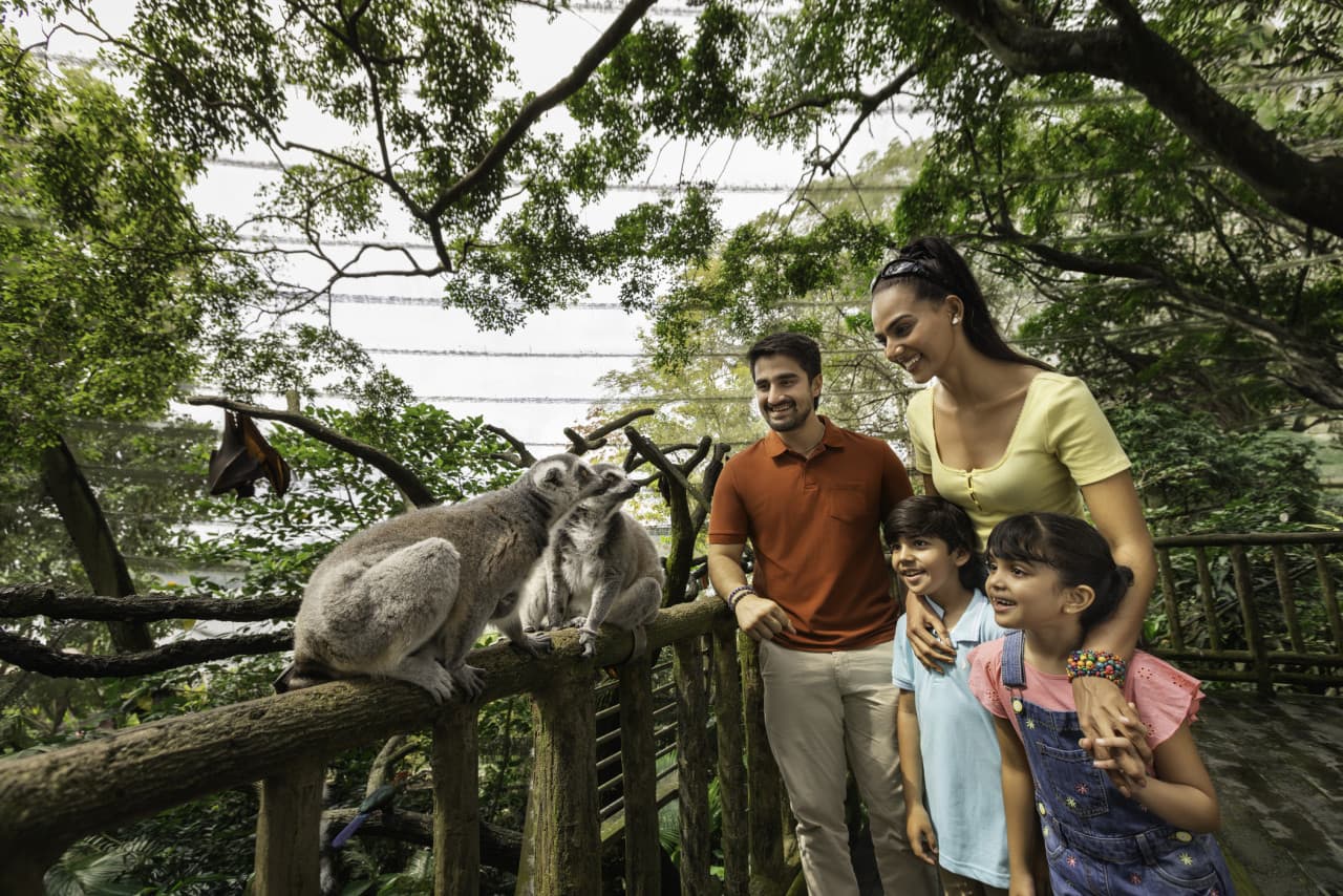 5-in-1 Day Pass: Night Safari + Singapore Zoo + Bird Paradise + River Wonders + Rainforest Asia