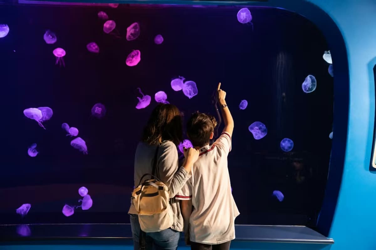 Georgia Aquarium: Fast Track Ticket