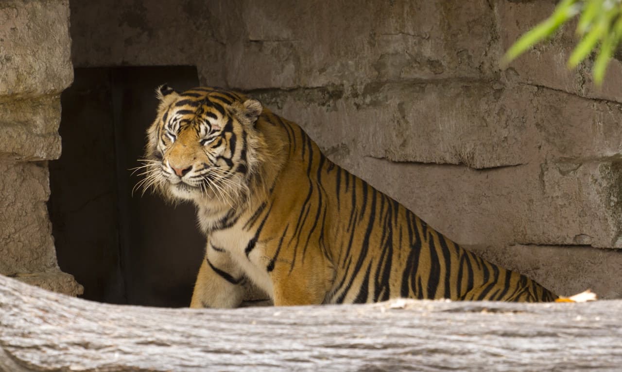 Barcelona Zoo