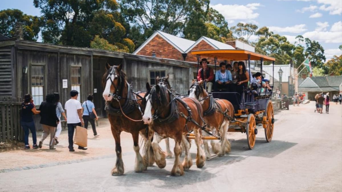 Sovereign Hill Ticket