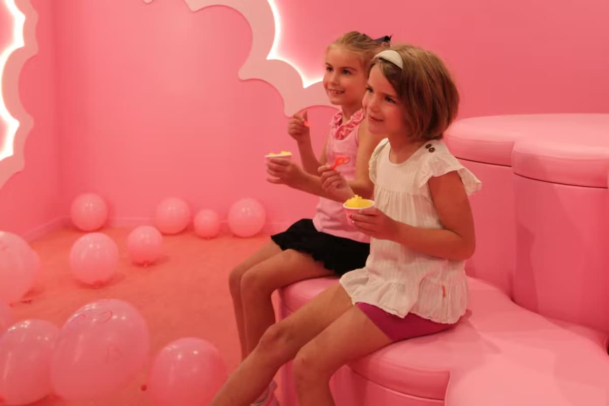 Museum of Ice Cream Chicago Ticket