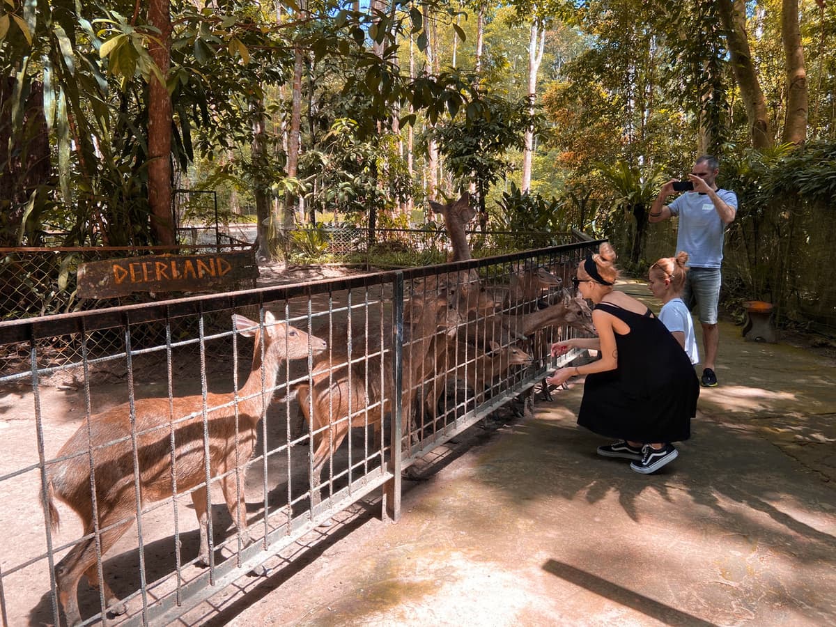 Batu Caves and Kuala Gandah Elephant Sanctuary Full-Day Tour from Kuala Lumpur