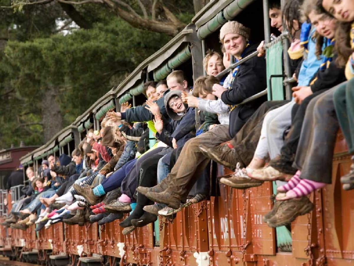 Puffing Billy and Healesville Sanctuary Tour