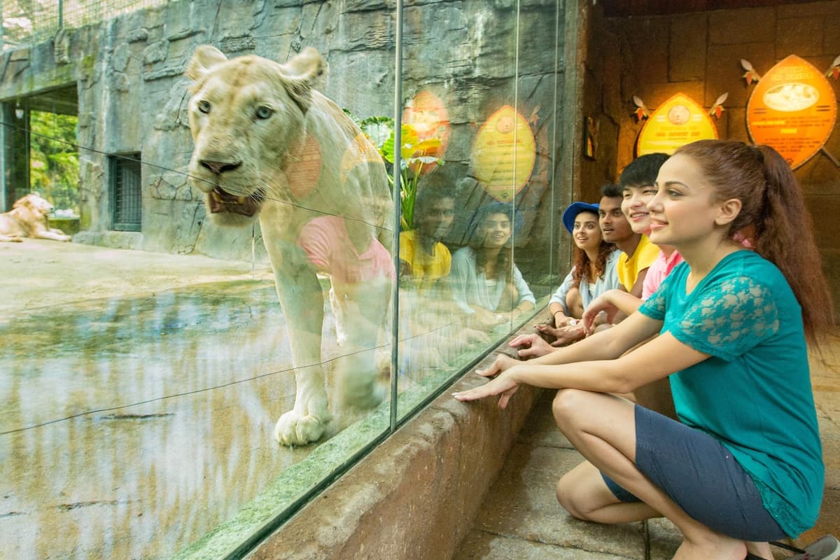 COMBO: Sunway Lagoon Theme Park Ticket + Quack Xpress Pass