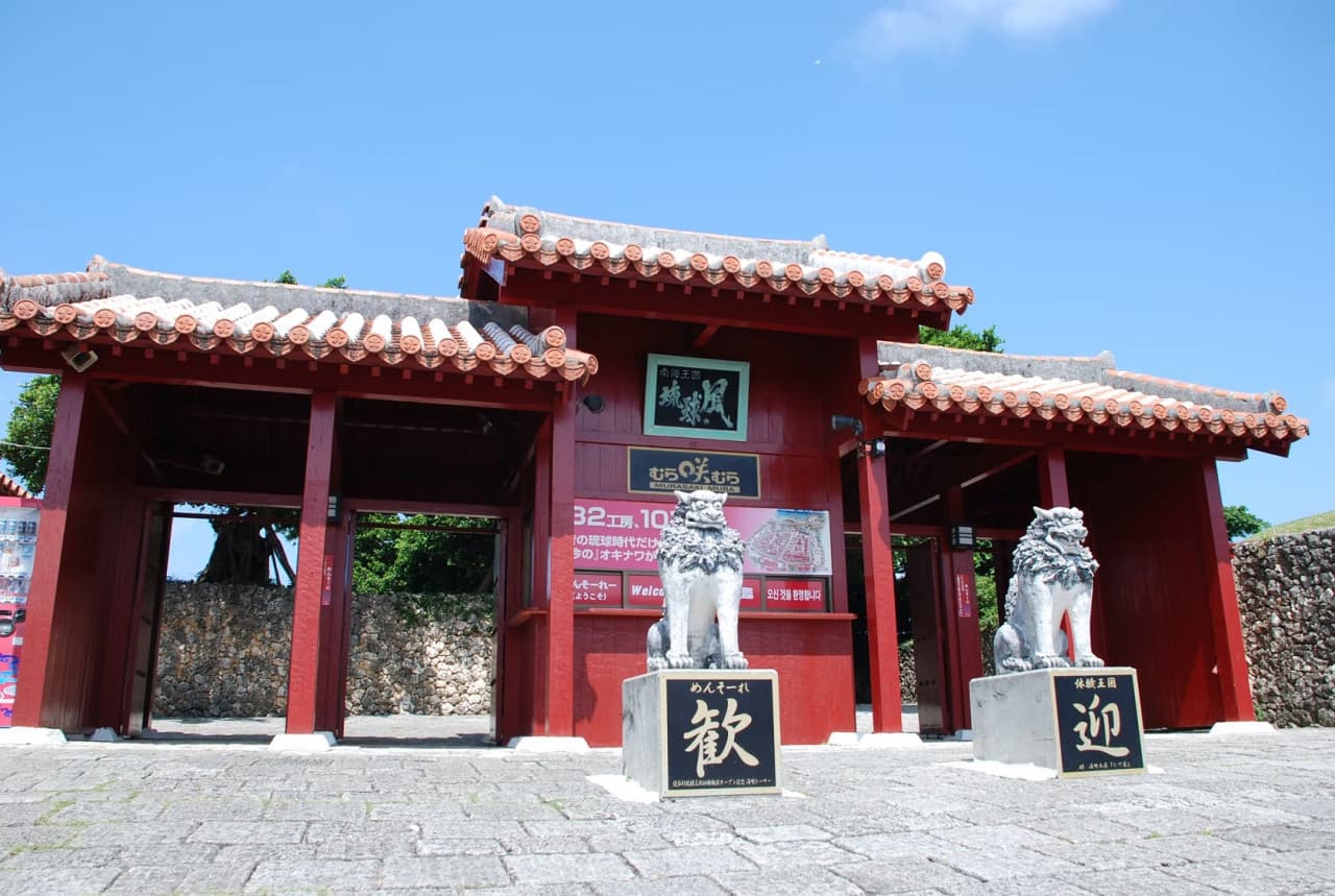 Okinawa Churaumi TokuToku 5 Pass