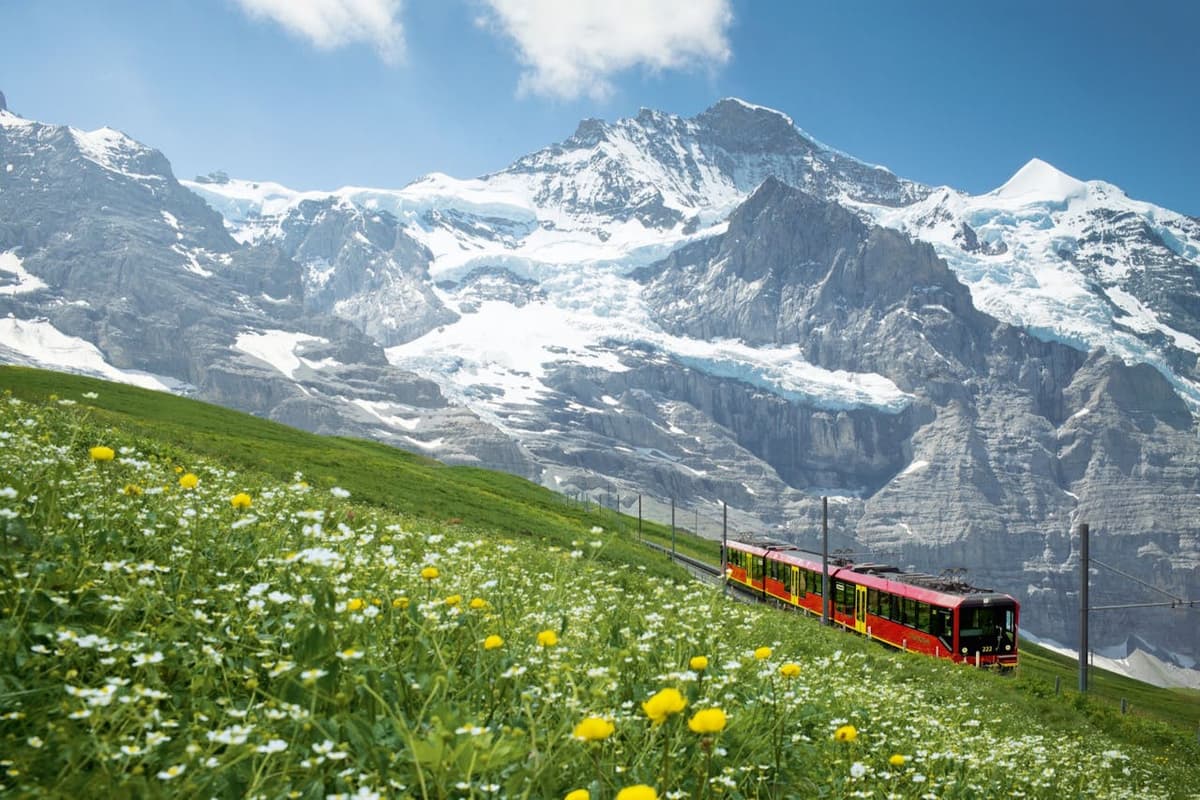 Jungfraujoch: Roundtrip Train from Grindelwald