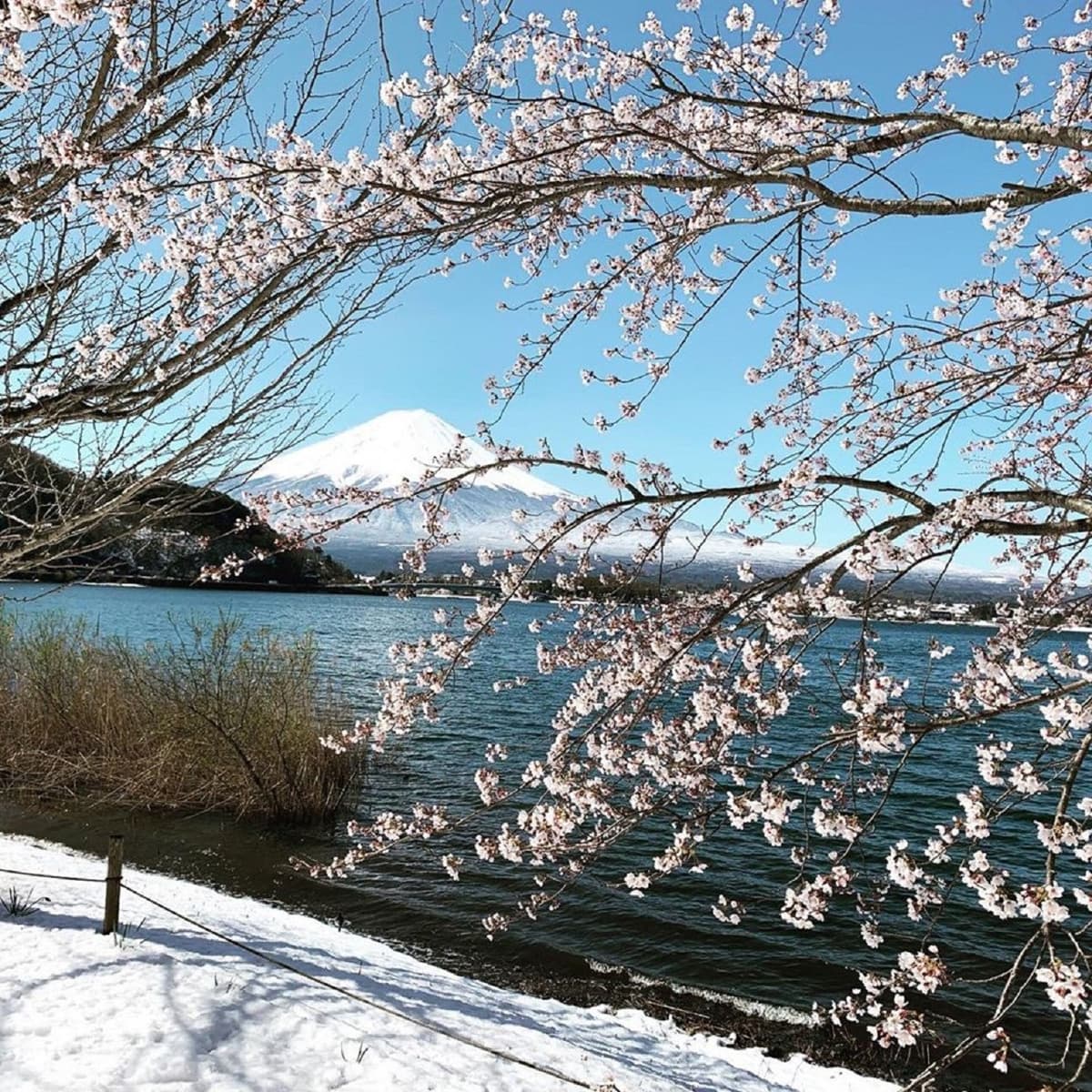 Mt Fuji, Oshino Hakkai and Gotemba Outlets 1-Day Bus Tour