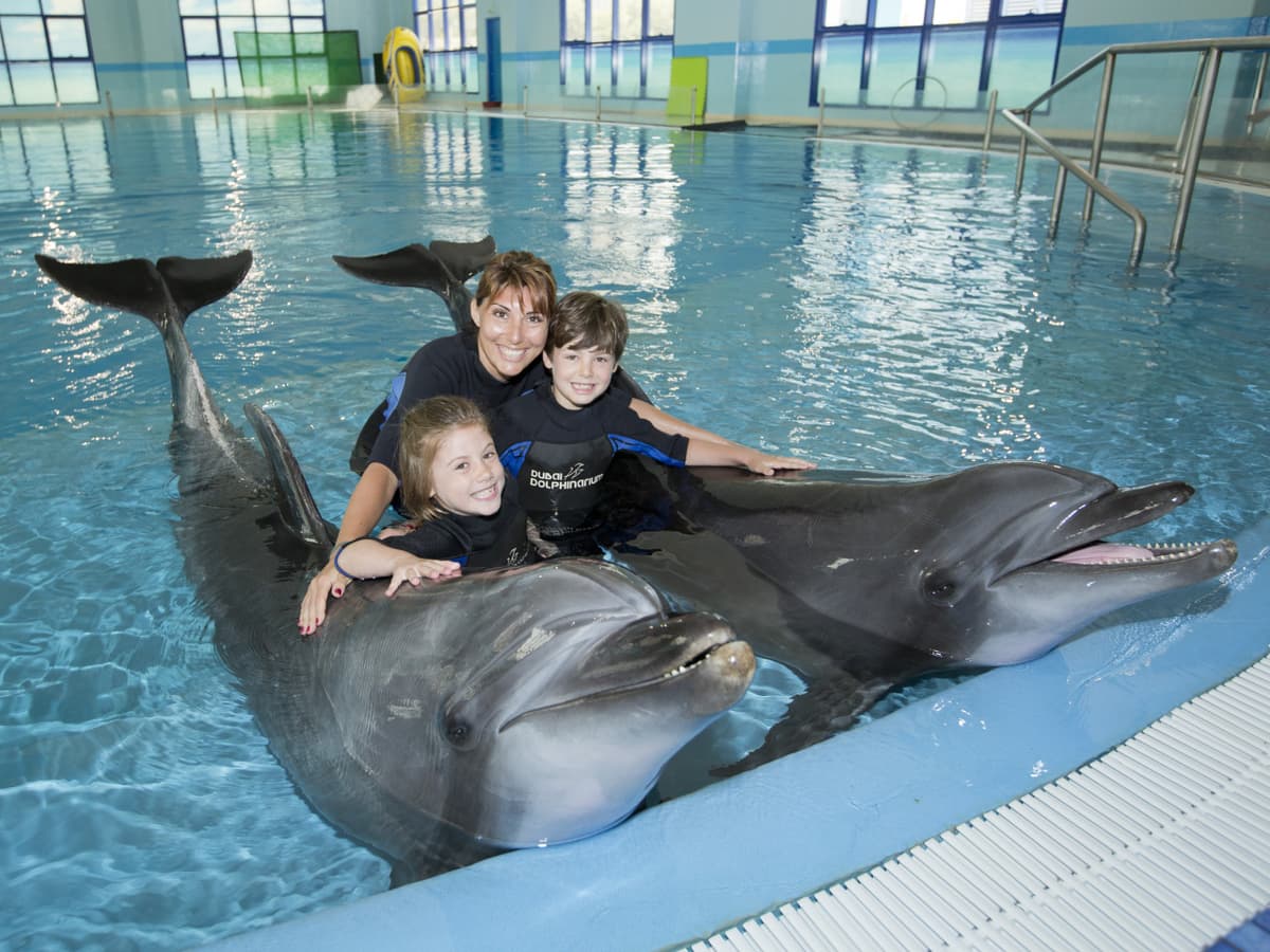Dubai Dolphinarium Ticket