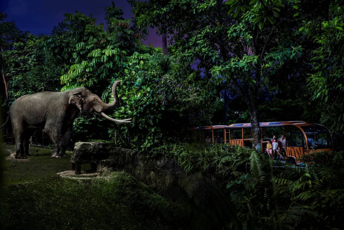 2-Park Destination Pass: Singapore Night Safari + Singapore Zoo Tickets