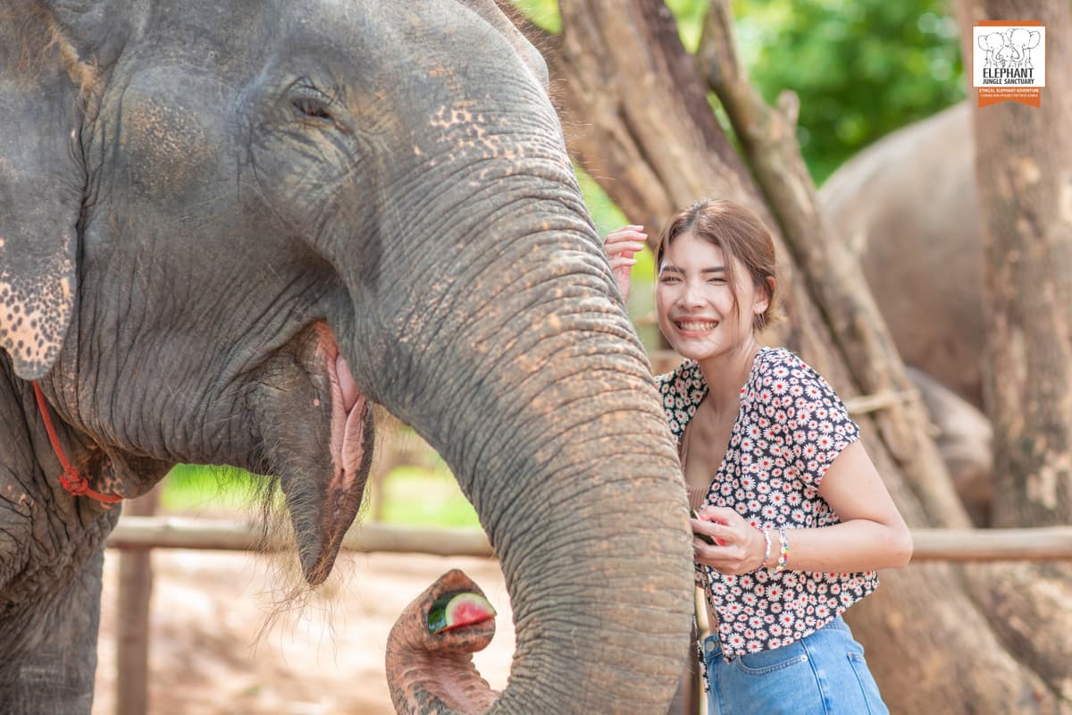 Elephant Jungle Sanctuary Phuket