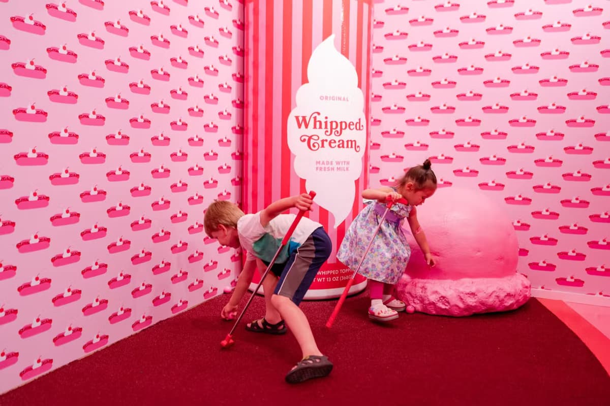 Museum of Ice Cream Chicago Ticket