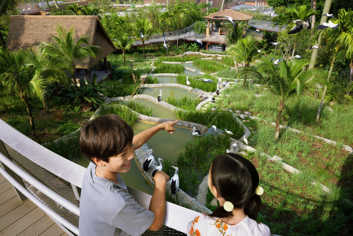 Singapore Bird Paradise Ticket