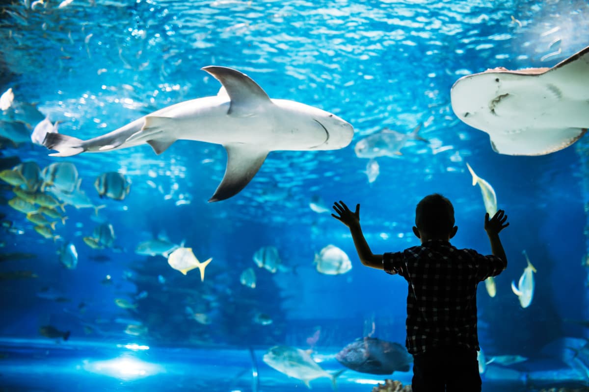 Go City Philadelphia All-Inclusive Pass: Save up to 50% on Attractions
