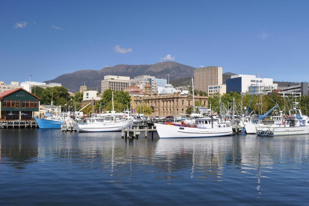 Mount Wellington and Hobart City Tour