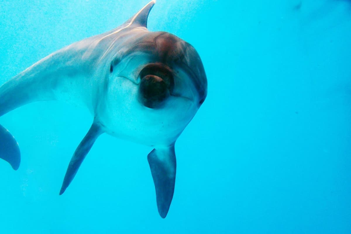 Yehliu Ocean World