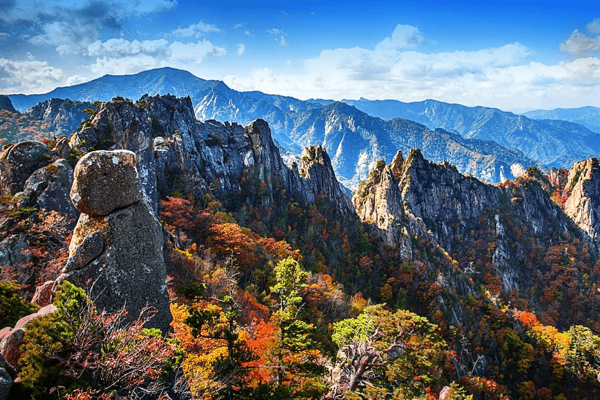 Nami Island and Mount Seorak Full-Day Tour from Seoul