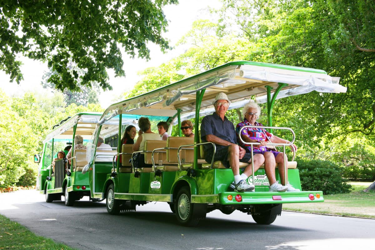 Christchurch Attractions - Christchurch Botanic Gardens - CHCTDCBGCHCDAYA