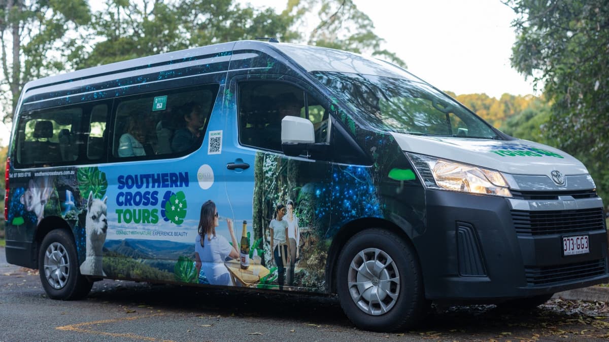 Guided Evening Rainforest Walk and Glow Worms Experience from Gold Coast